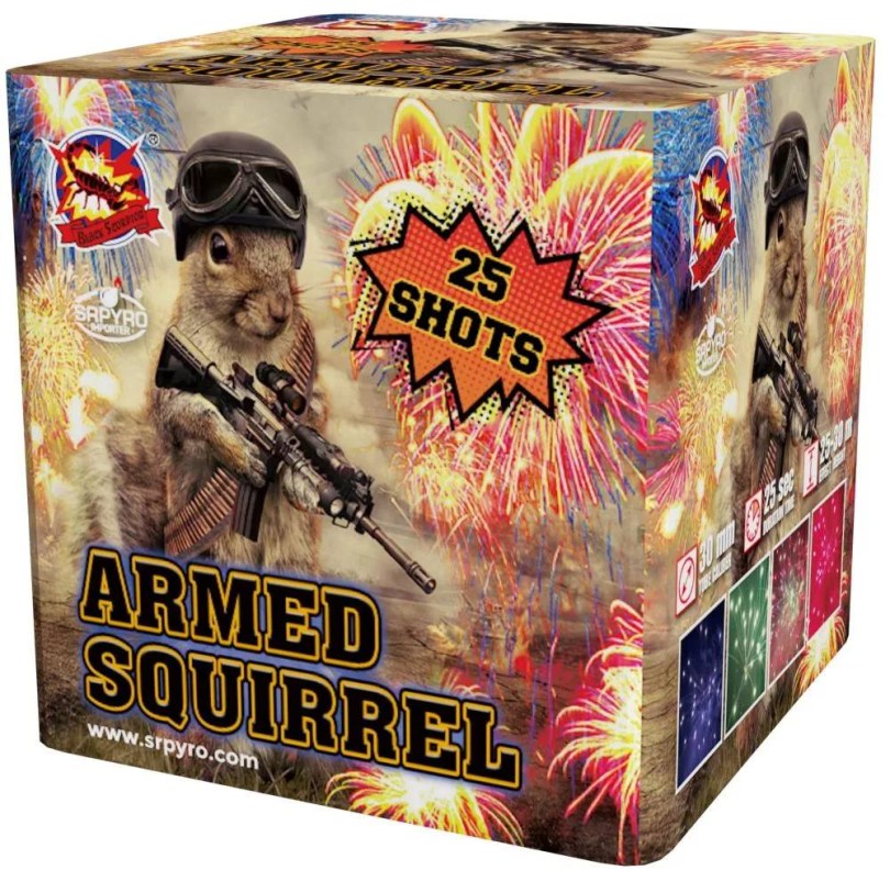 armed-squirell