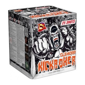 tuzijatek-kickboxer